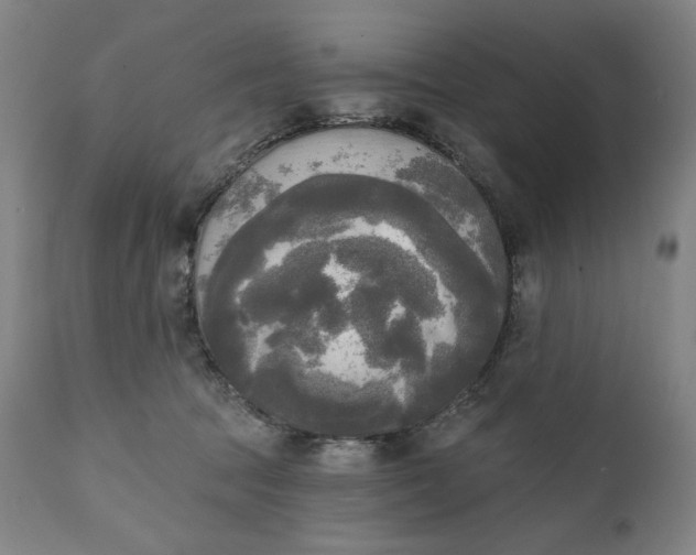 X0000111220369200907161258