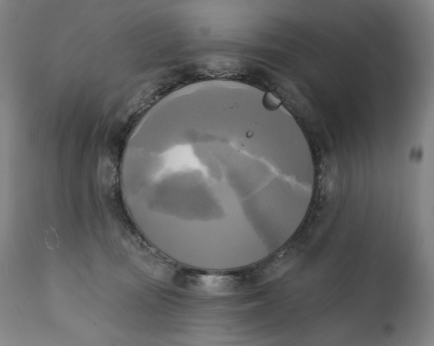 X0000111220371200907161258