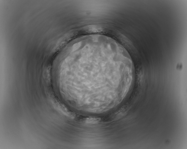 X0000111220373200907161258