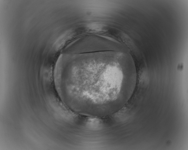 X0000111220376200907161258
