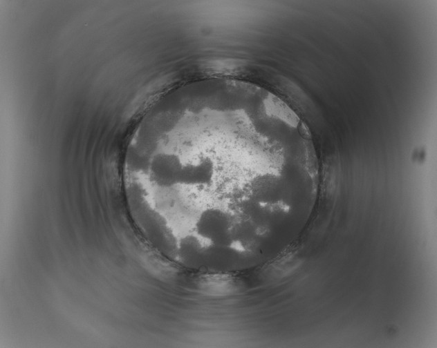 X0000111220377200907161258
