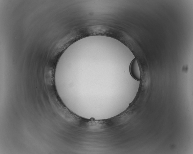 X0000111220378200907161258