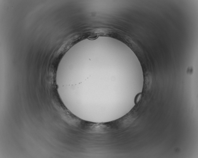 X0000111220379200907161258