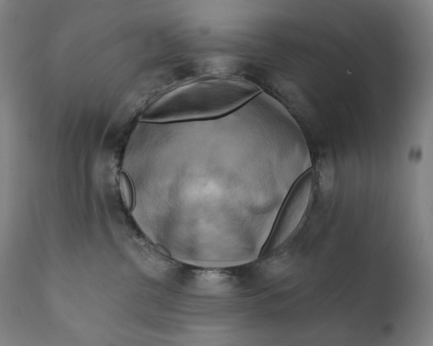 X0000111220380200907161258