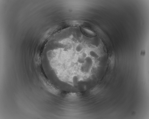 X0000111220381200907161258