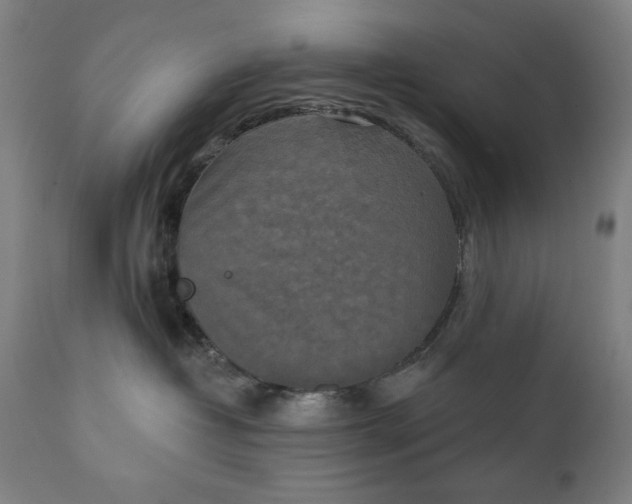 X0000111220382200907161258