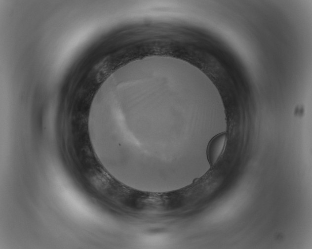 X0000111220383200907161258