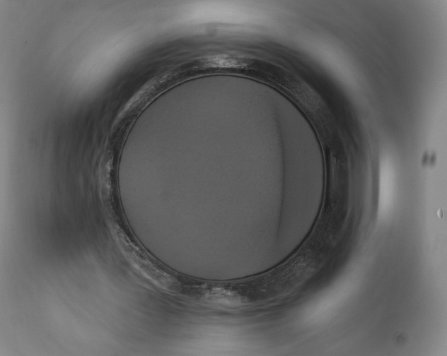 X0000111220387200907161257