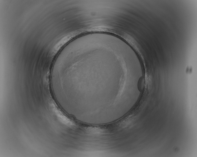 X0000111220389200907161257