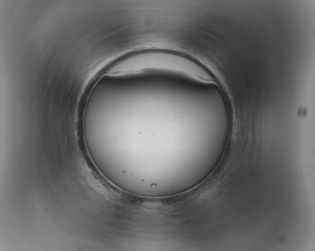 X0000111220391200907161257