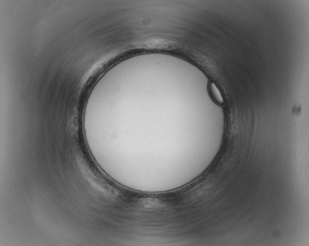 X0000111220392200907161257