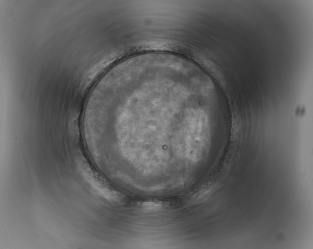 X0000111220394200907161257