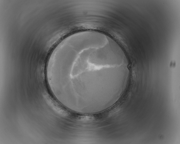 X0000111220398200907161257