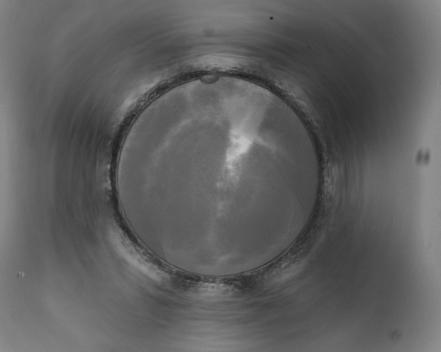 X0000111220399200907161257