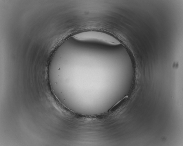 X0000111220401200907161257