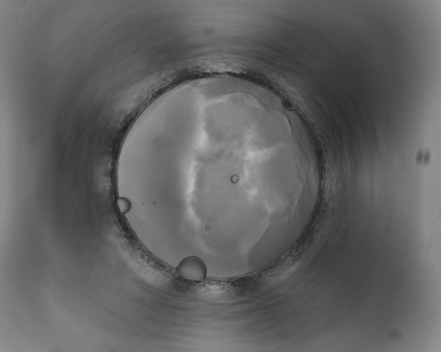X0000111220402200907161257
