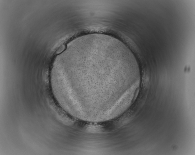 X0000111220403200907161257