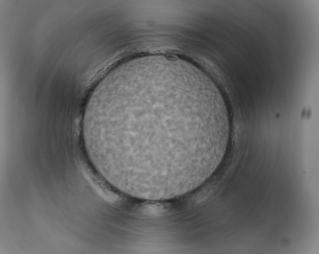 X0000111220405200907161257