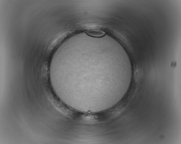 X0000111220407200907161257