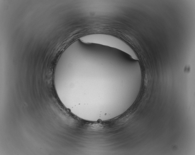 X0000111220409200907161257