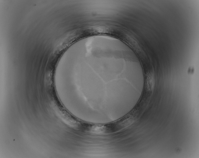 X0000111220410200907161257