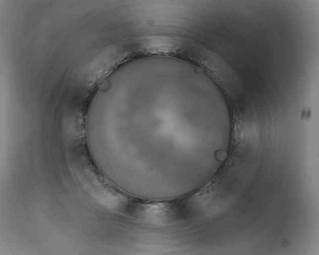 X0000111220411200907161257