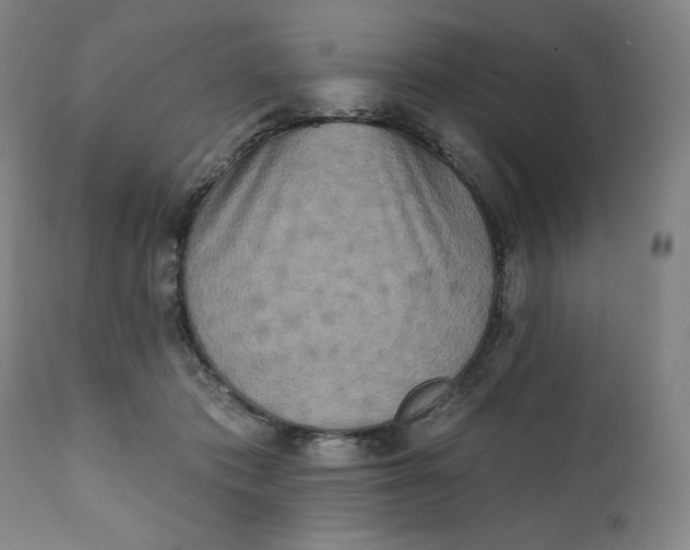 X0000111220413200907161257