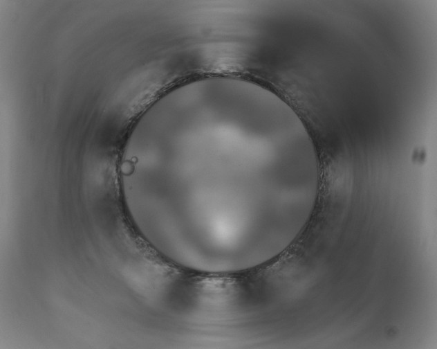 X0000111220415200907161257