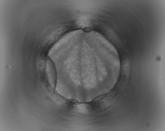 X0000111220417200907161257
