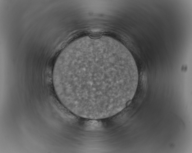 X0000111220421200907161256