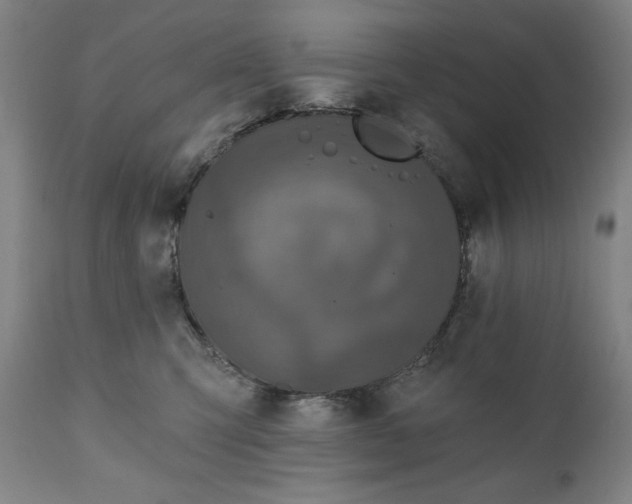 X0000111220423200907161256
