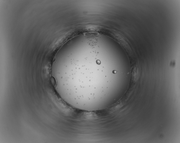 X0000111220424200907161256