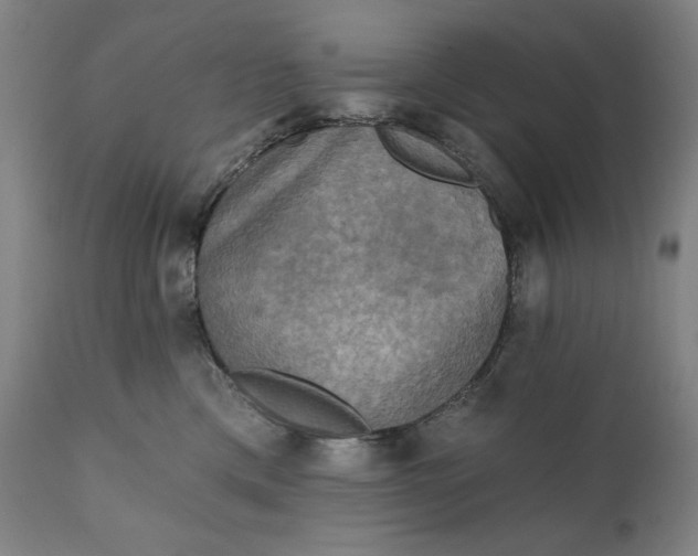 X0000111220425200907161256