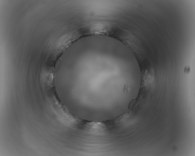 X0000111220427200907161256