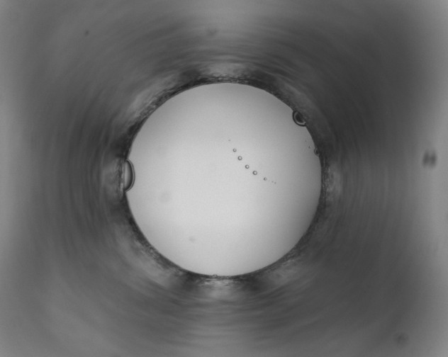 X0000111220428200907161256