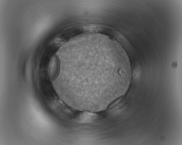 X0000111220429200907161256