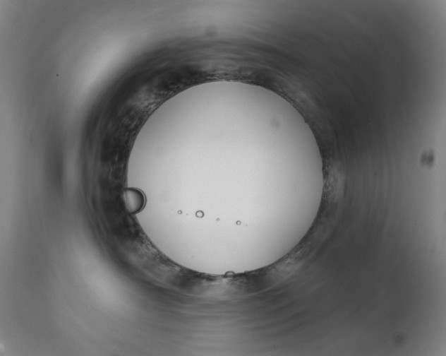 X0000111220430200907161256