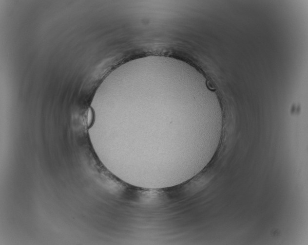 X0000111220432200907161256