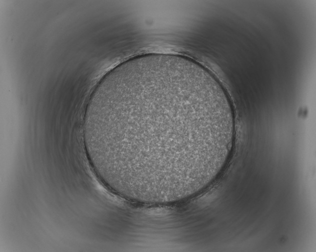 X0000111220433200907161255