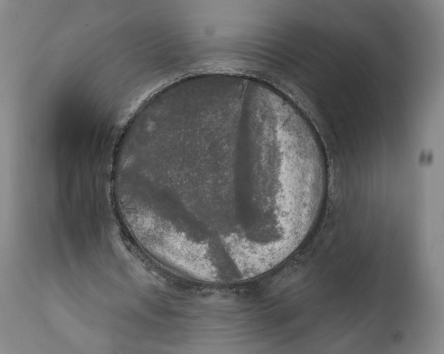 X0000111220434200907161255