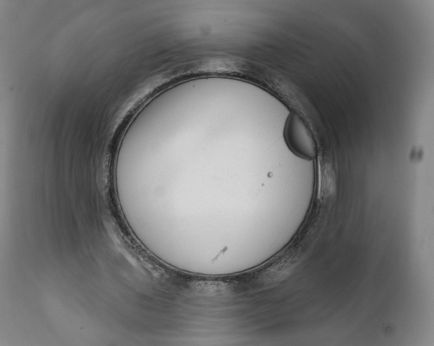 X0000111220435200907161255