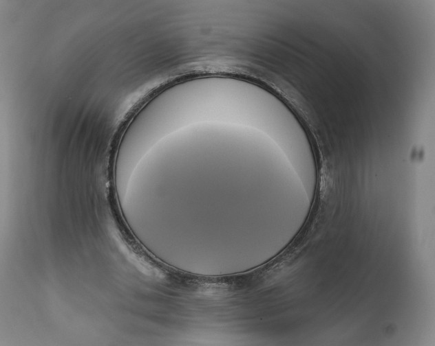 X0000111220438200907161255