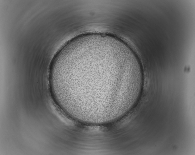 X0000111220439200907161255