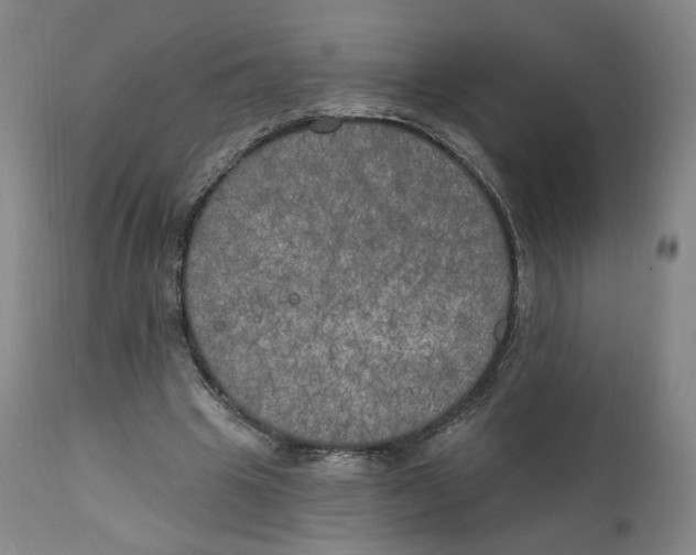 X0000111220441200907161255