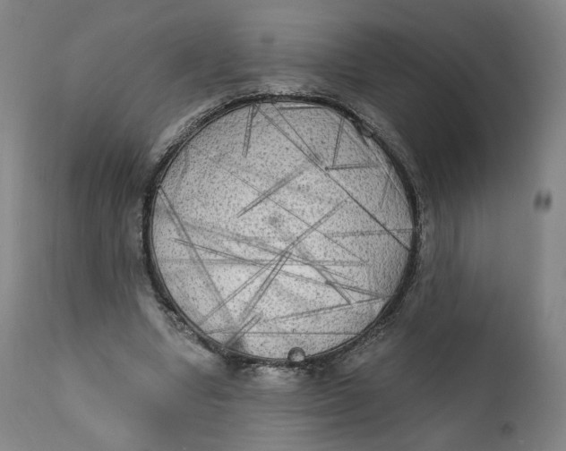 X0000111220442200907161255