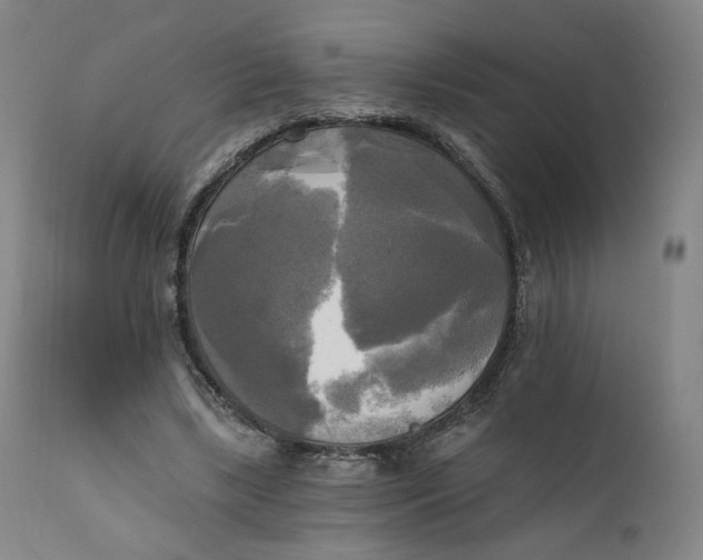 X0000111220443200907161255