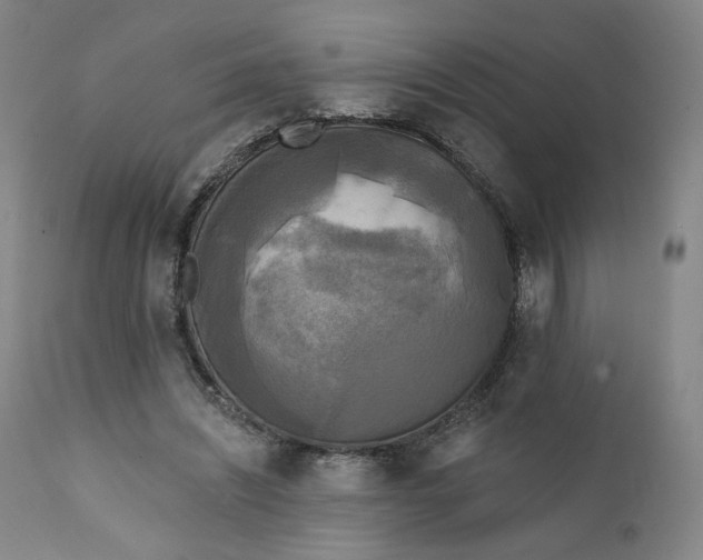 X0000111220444200907161255