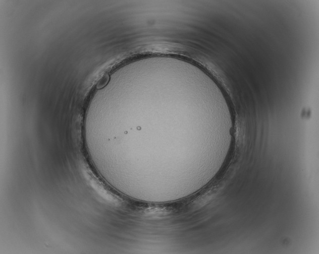 X0000111220445200907161255
