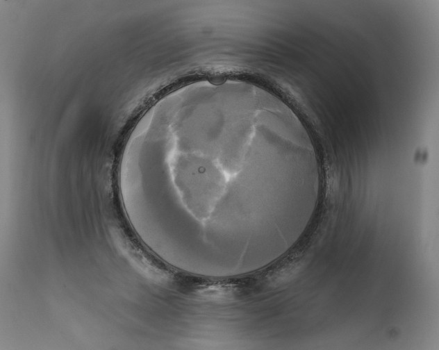 X0000111220447200907161256