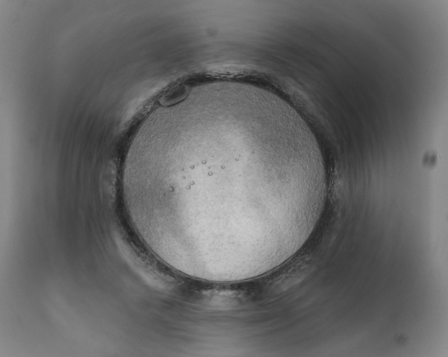 X0000111220448200907161256